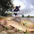 -i_Koj3Bm1U-channel-avatar-Астраханский клев