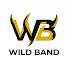 LwZ8sFg6cAo-channel-avatar-Wild Band