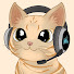 SpodQFZ6AQk-channel-avatar-MrSiao