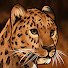 Xx3RjHou-TY-channel-avatar-Furry Friends 