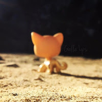 Galla Lps profile image