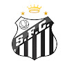 What could Santos Futebol Clube buy with $458.15 thousand?
