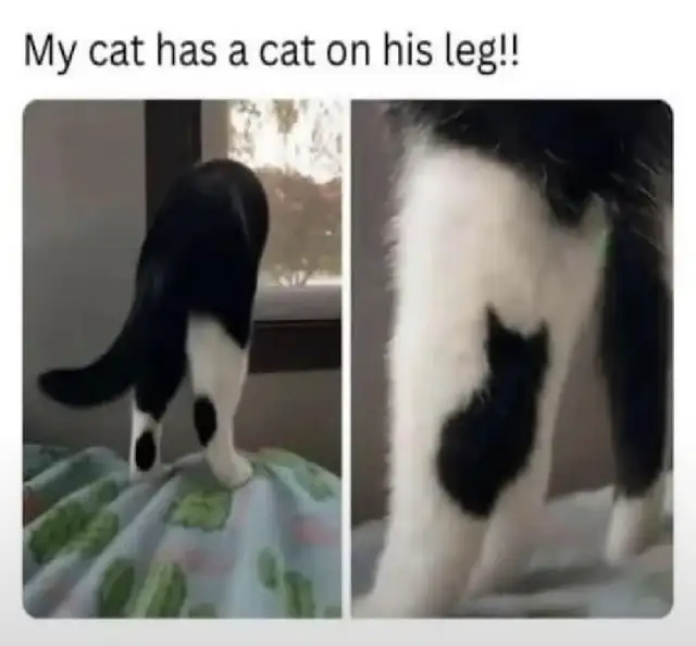 K0Ecy_of1oqrMka4qoAo65DyEIV43AK4VJopJgmd