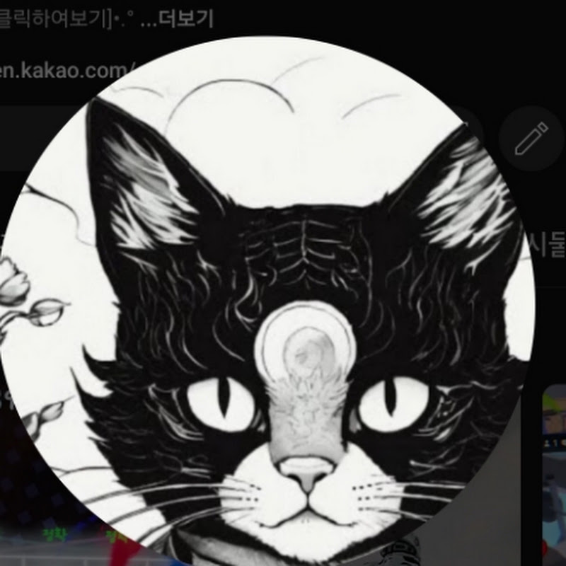 고양이 채널