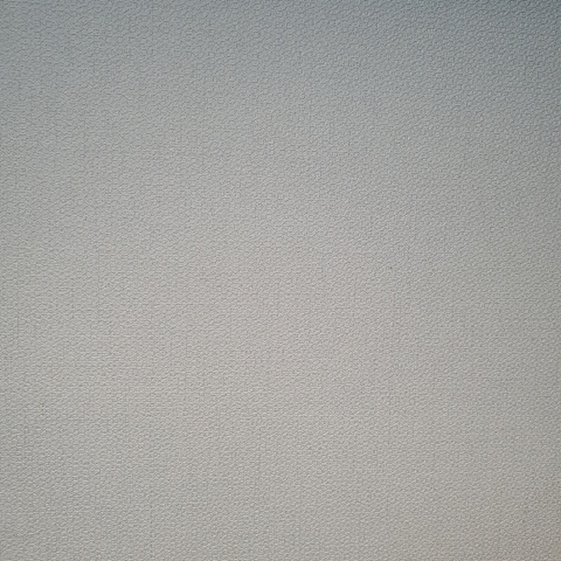 콜라보 애니메이션