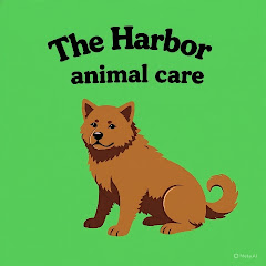 harboranimalcare