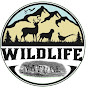 Nature and Wildlife logo