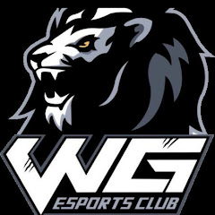 WG E_SPORT CLUB