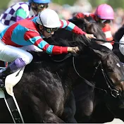 競馬データ検証チャンネル