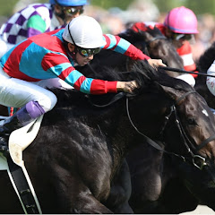 競馬データ検証チャンネル