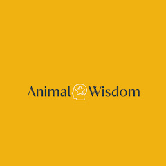 Animal Wisdom