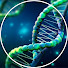 Dsfuzl5x6qk-channel-avatar-Detectives of DNA