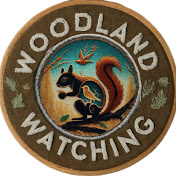 Woodland Watching