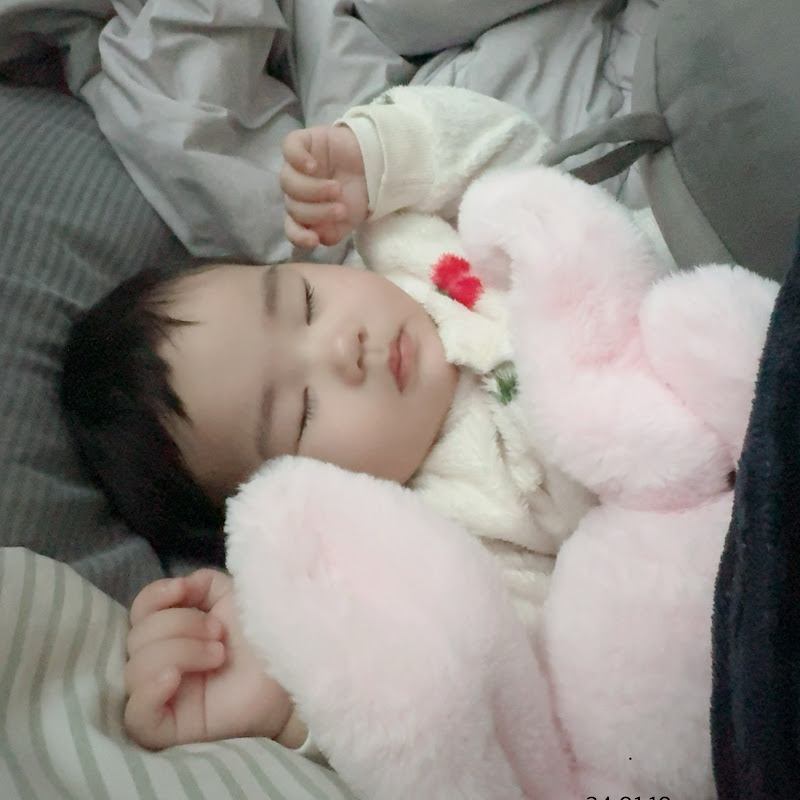 아기 고래 기록 저장소🐳