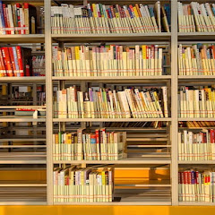 김경국 인사이트