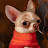 @qsa-gc's avatar