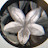 @DeanBromberg-h9l