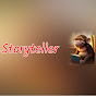 Storyteller logo