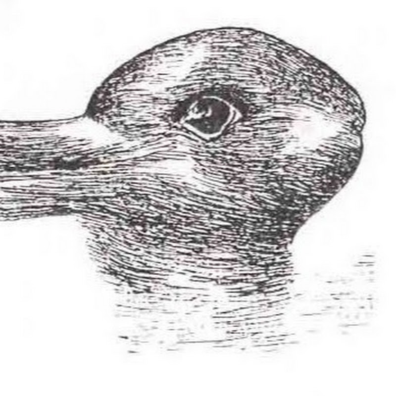 DuckRabbitGoose