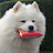 @NicholasAgustin's avatar
