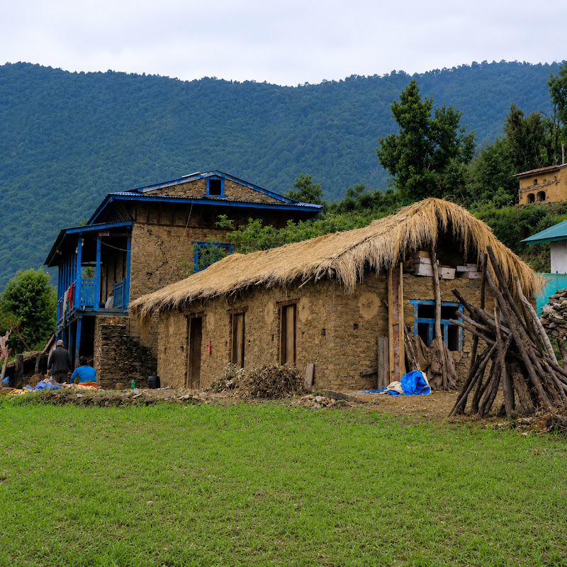 Village Life Vibes