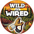 9S6pXZosAP8-channel-avatar-Wild & Wired