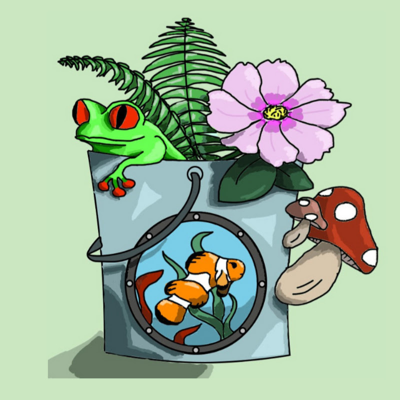 The Nature Bucket Logo