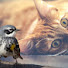 6J7P9hHF4OI-channel-avatar-Toe Beans TV (Bird Watching for Cats)