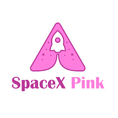 SpaceX Pink net worth