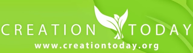 Creation Today Ministry banner