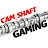Cam_Shaft Gaming