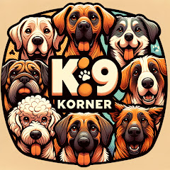 Thumbnail of related channel