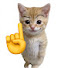 psbAXUAL8ks-channel-avatar-AnimalRank