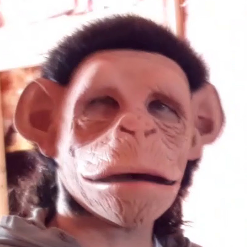 CodeMonkey Mike