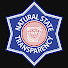 SmJRhlHsD60-channel-avatar-Natural State Transparency