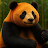 @OrangePanda2010