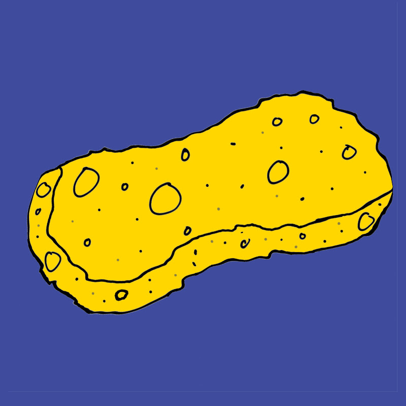 Sponge
