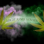 High ASMR Senses YouTube Profile Photo