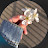 @SawsanSaad-q3h