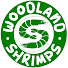 h2d8DxzhtsI-channel-avatar-Woodland Shrimps
