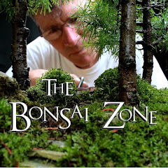 Nigel Saunders, The Bonsai Zone Avatar