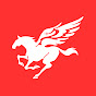 PEGASI Peripherals