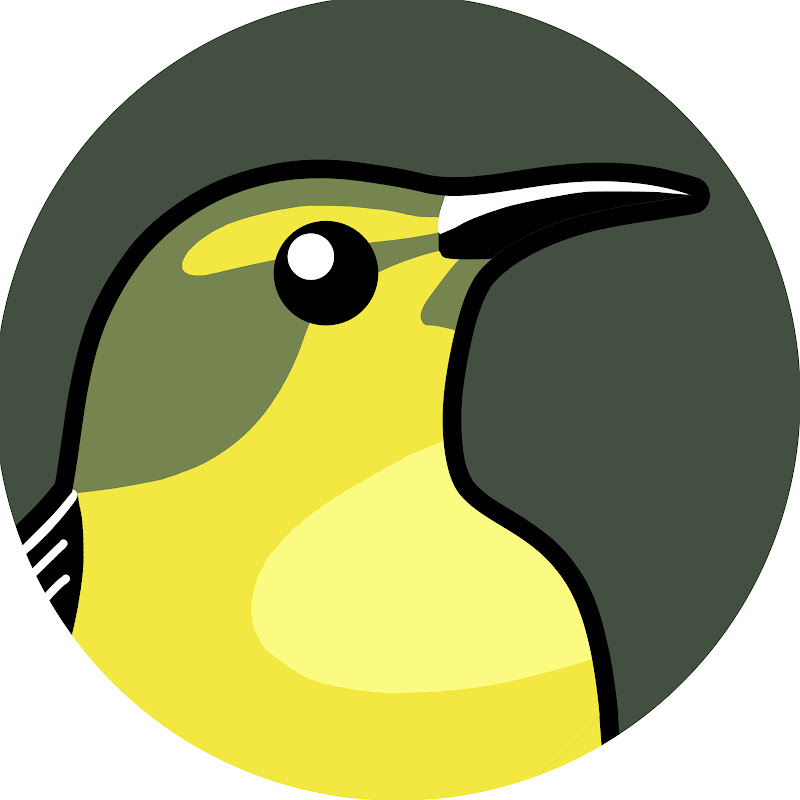 Sunbird Flyms