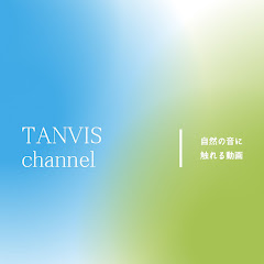 Monday surfing life channel