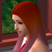 Sandra's Nostalgia Sims