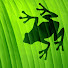 k8XeuKJH64M-channel-avatar-KaeruFrog Gaming