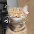 ToKX5K7o-Vk-channel-avatar-Light Asmr