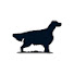 1j-oKMQQocQ-channel-avatar-K9 Dog Grooming Rebecca Goutorbe