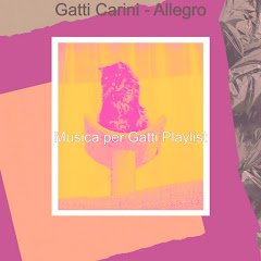 Musica per Gatti Playlist - Topic