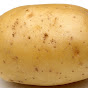 Potatodude53 logo